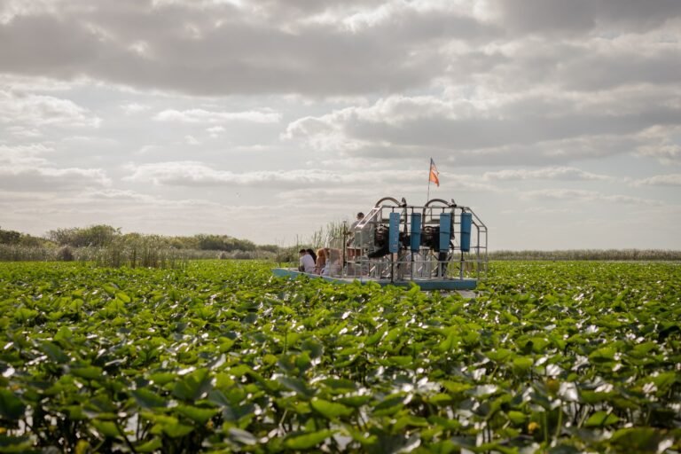 Airboat on the Florida Everglades
