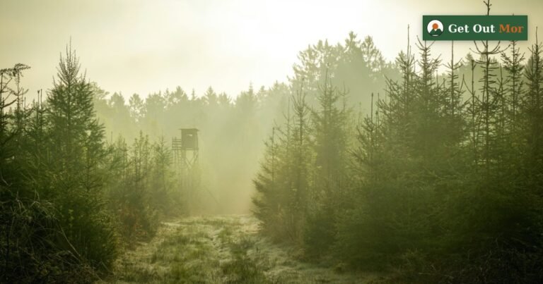 Does Weather Really Move Deer? What the Research Says